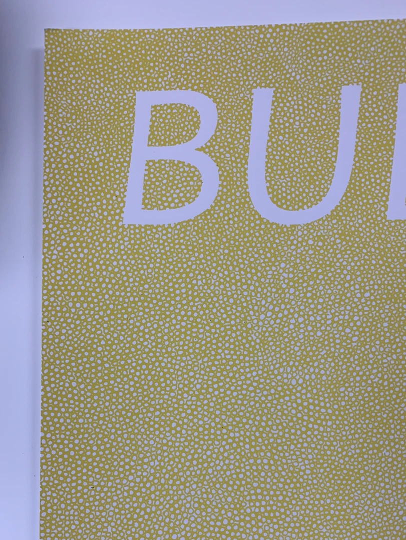 Bully - 2016 Fugscreens Studios Poster Chicago, IL Empty Bottle