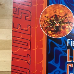 Widespread Panic - 2001 Jason Clements Poster Larkspur, CO Field Of Dreams