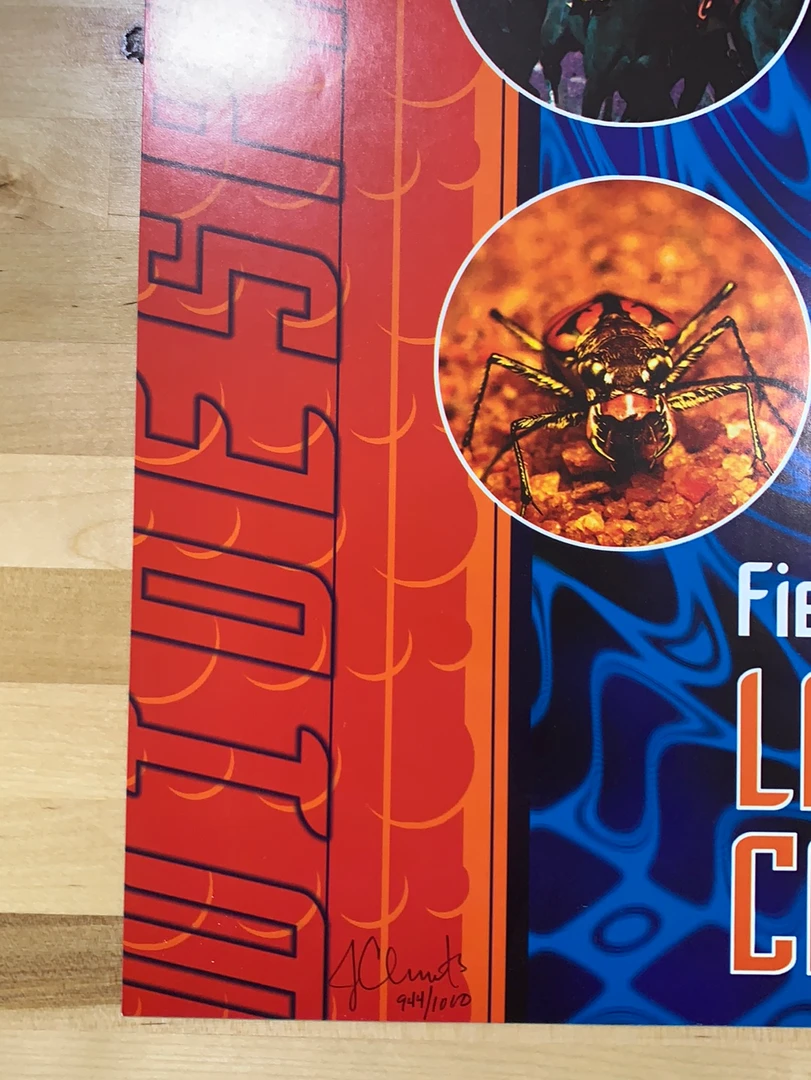 Widespread Panic - 2001 Jason Clements Poster Larkspur, CO Field Of Dreams