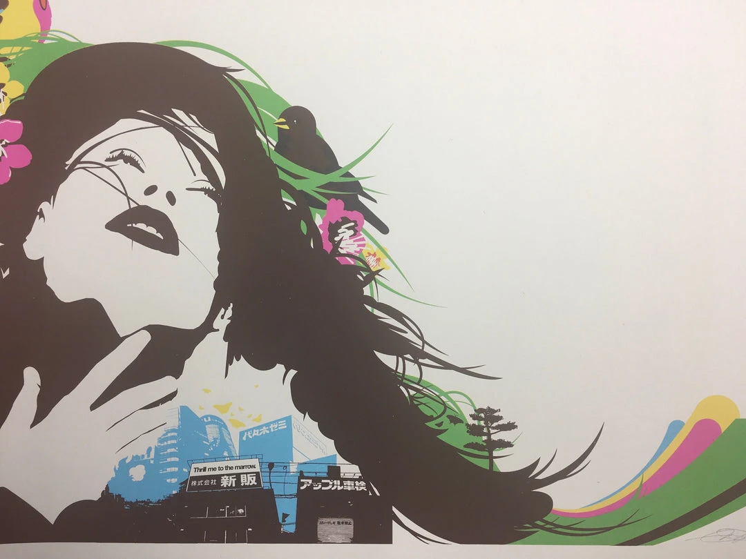 Thrill Me To The Marrow - 2006 Mike Davis Poster San Francisco, CA Cold Crush Go Art Prints