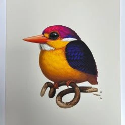 Fat Bird - 2020 Mike Mitchell Poster Rufous-Backed Dwarf Kingfisher AP Art Prints