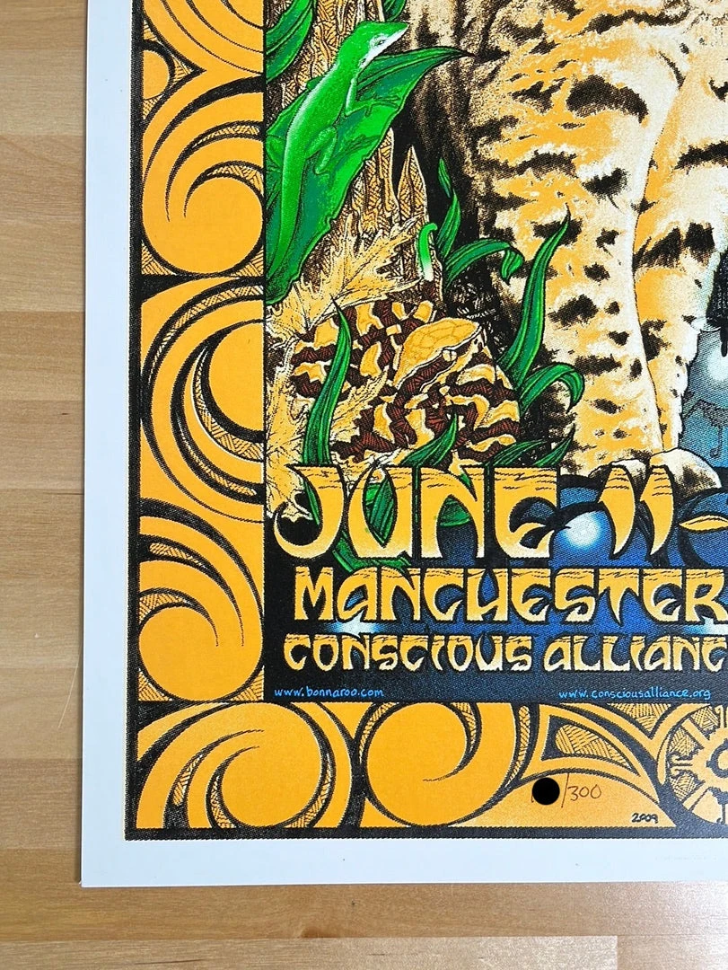 Bonnaroo - 2009 Michael Everett Poster Manchester, TN