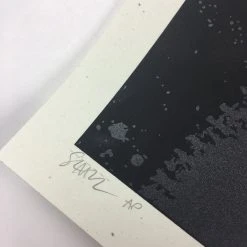 The Dead Weather - 2009 Todd Slater Poster Austin City Limits, TX Zilker Park