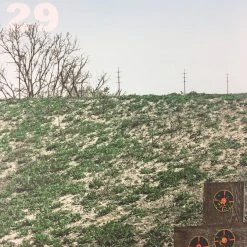 Flatstock 29 - 2011 Dan MacAdam Crosshair Poster Austin, TX Austin Convention Ce Gig Posters