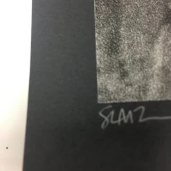 Gig Posters The Dead Weather - 2009 Todd Slater Poster Seattle, WA Paramount Theatre