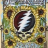 Sold Out Posters Gig Posters Dead & Company - 2016 Poster Chula Vista, CA Summer Tour