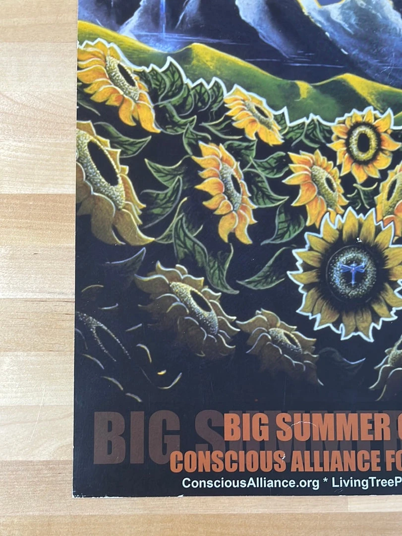 Big Summer Classic - 2005 Tom Giffin Poster SCI, YMSB, Umphrey's Gig Posters
