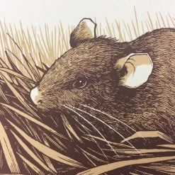 Brown Rat (Rattus Norvegicus) - 2015 Justin Santora Poster Art Print