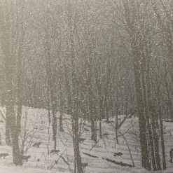 Art Prints Guiding Light - 2010 Dan McCarthy Poster Art Print