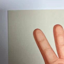 Daisy I - 2019 Mike Mitchell Poster Art Print Mikeland AP Art Prints