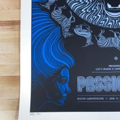 Passion Pit - 2013 Todd Slater Poster Cary, NC Booth Amphitheater Gig Posters
