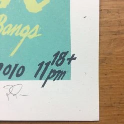 The Soft Pack - 2010 Jay Ryan Poster Chicago, IL Schubas