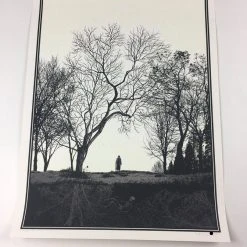 Wish You Were Here - 2011 Dan McCarthy Poster Art Print Art Prints