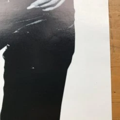 Sold Out Posters The Fags - Idol Records Original Poster Detroit, MI Dallas, TX Gig Posters