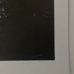 A Night In The Forest - 2010 Dan McCarthy Poster Art Print