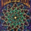 BGP 241 Widespread Panic - 2000 Chris Shaw The Warfield Theatre San Fran 1st Gig Posters