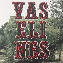 The Vaselines - 2009 Dan MacAdam Crosshair Poster Chicago, IL Metro