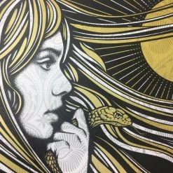 Queens Of The Stone Age - 2018 Todd Slater Poster Austin, TX Austin 360 Amphithe