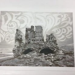 Dead Meadow/Sweet Apple - 2011 Dan MacAdam Crosshair Poster Los Angeles, CA Spac